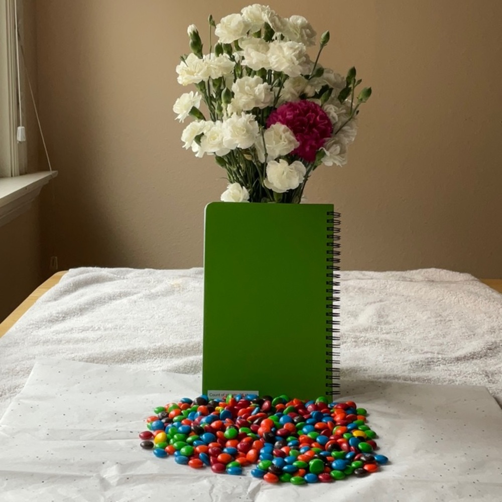 📗💙 M&M’S NOTEBOOK 📗💙 - Picture 15 of 16